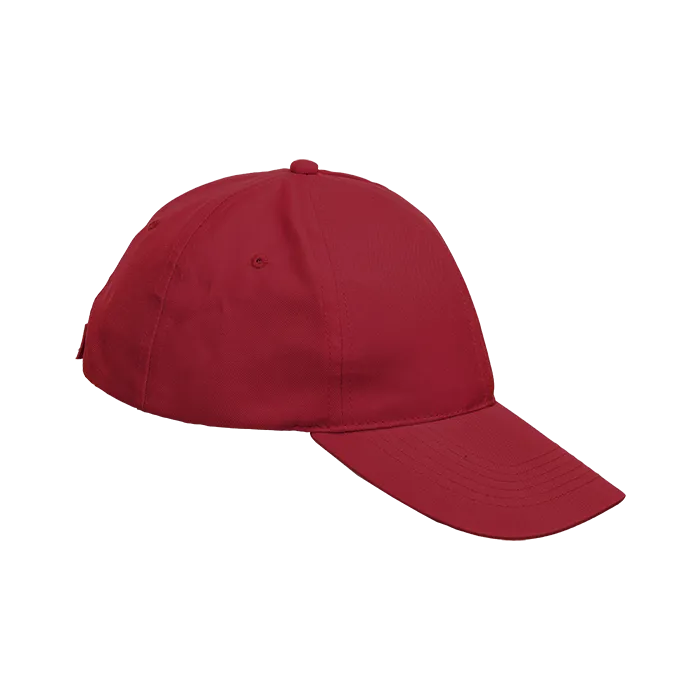 6 Panel Boost Cap