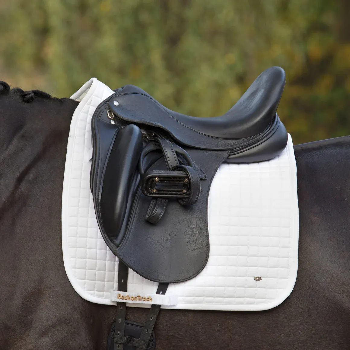 BACK ON TRACK DRESSAGE SADDLE PAD NO. 1 - WHITE