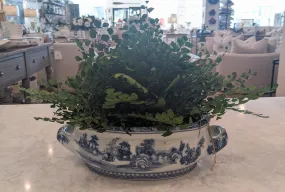 Maidenhair Fern Dried Floral Arrangement