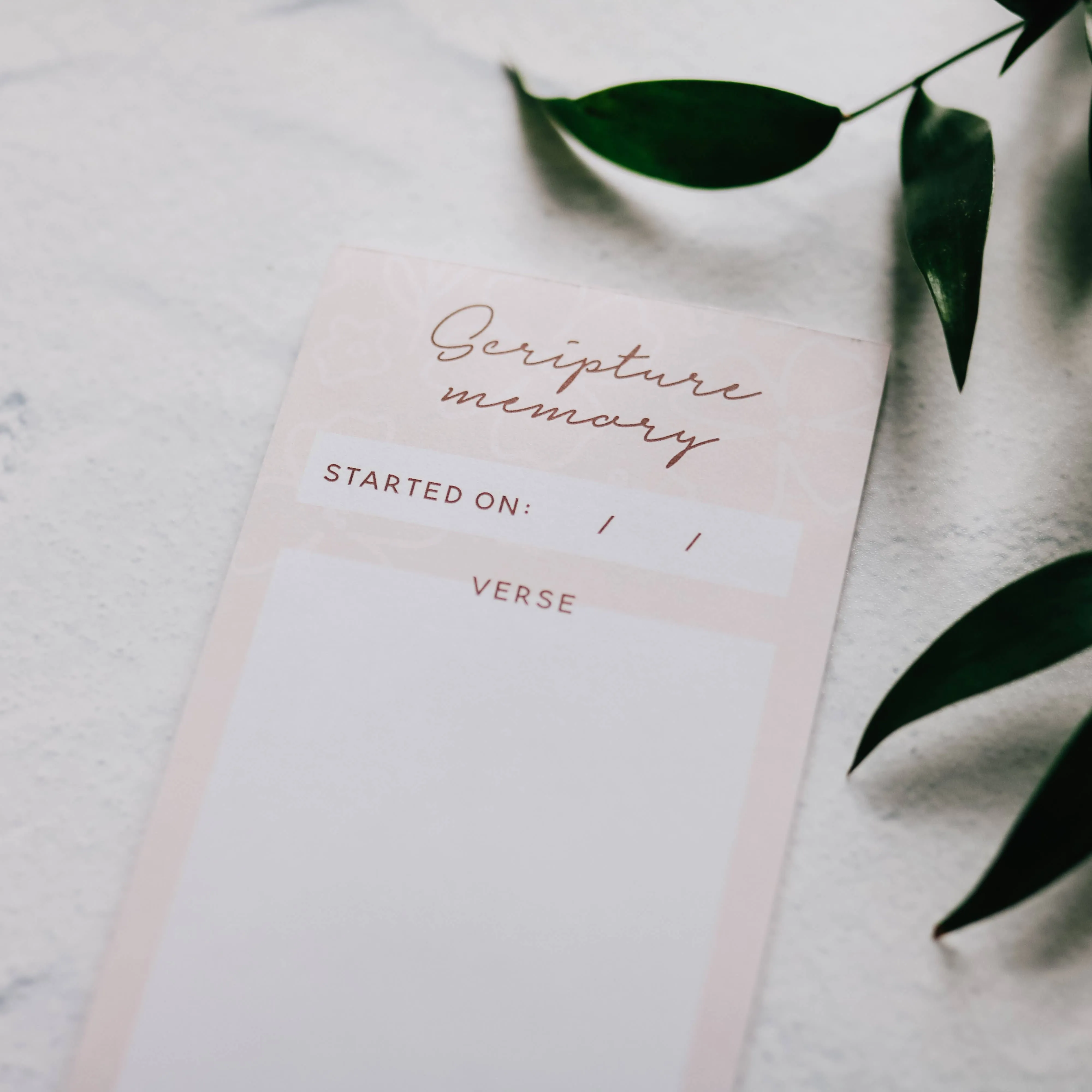 Scripture Memory Notepad - Blush Floral